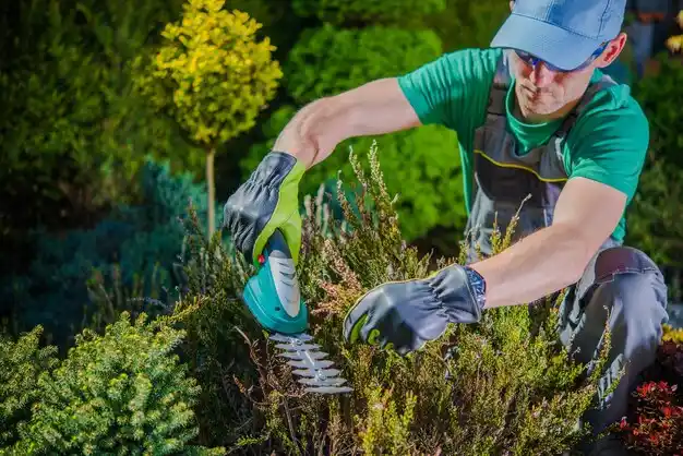 landscaping services Corbin
